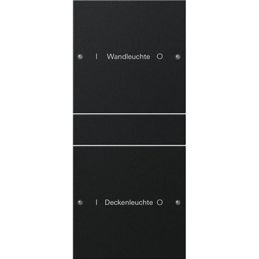 Gira - Bussystem-Tastwippe Wippenset 2-fach 2202005 beschr. Sys 55 sw