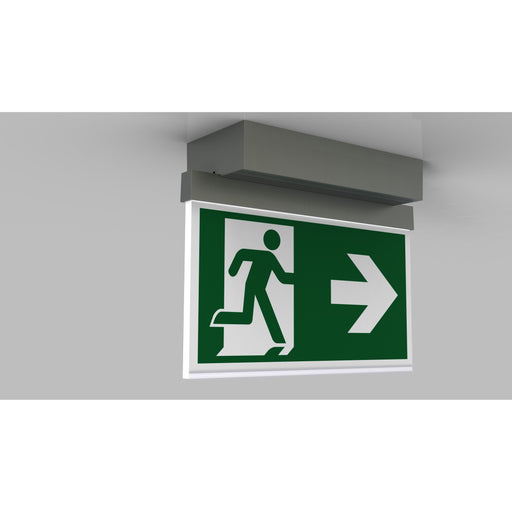 RP-Technik - Sicherheitsleuchte LED-Rettungszeichenleuchte AMD403SC-E EB 3h, SC, eds-opt