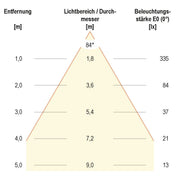 EVN Lichttechnik - Decken-/Wandleuchte LED-Wandleuchte C54152540RE 4000K anthrazit