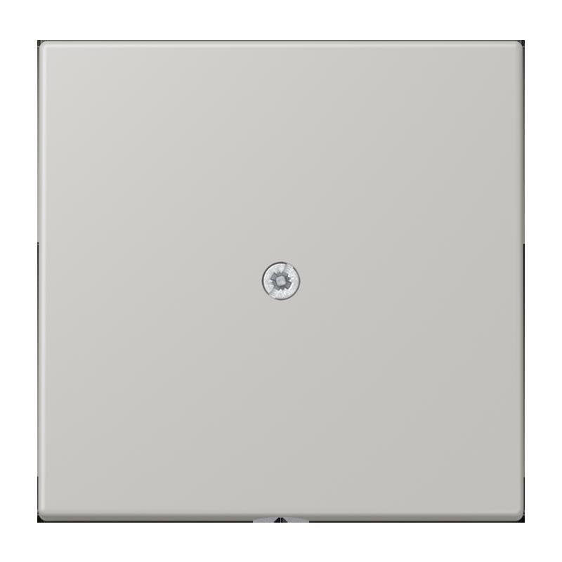Jung - Einsatz/Abdeckung für Kommunikationstechnik Leitungsauslass m. Zugent. LC 990 A 205 gris clair 31