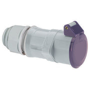 Bals Elektrotech - CEE-Kupplung (IEC 60309) Kleinspannungs-Kupplung 4539 32A 3p 24V