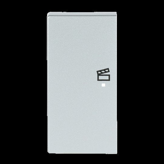 Busch-Jaeger - Bussystem-Tastwippe Wippe 2-f li Symbol Szene 6233-21-83 alusilber