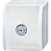Busch-Jaeger - Steckdose SCHUKO-Steckdose al/ws 20 EWSL-54 mit Schloss