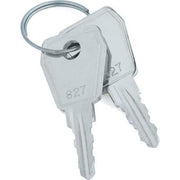 WindowMaster - Schlüssel für Gehäuse/Schränke Ersatzschlüssel WSA 441 0101 für WSC 204