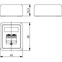 Telegärtner - Kommunikationsanschlussdose Kupfer Anschlussdose Cat.6 apws 100023000 UMJ45 8/8 K AP − 5 Stück