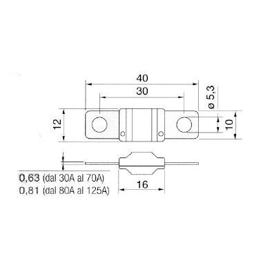 Scharnberger+Hasenbein - Flachsicherung KFZ-Flachsicherung 61614 100A 32V − 10 Stück