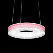 Ridi-Leuchten - Lichttechnisches Zubehör/Ersatzteile für Leuchten Einlegefolie IRIS-O-L #SPI0000221 rose