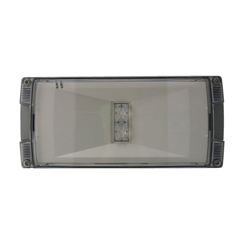Ceag Notlichtsysteme - Sicherheitsleuchte LED-Einzelbatterie-Leuchte AtlanticLED RCGLine+ m.autom. Funkt.test