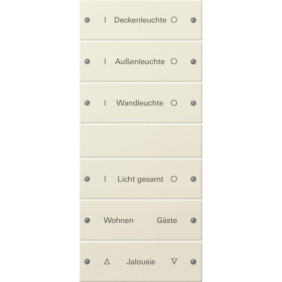 Gira - Bussystem-Tastwippe Wippenset 6-fach 220601 beschr. Sys 55 crws