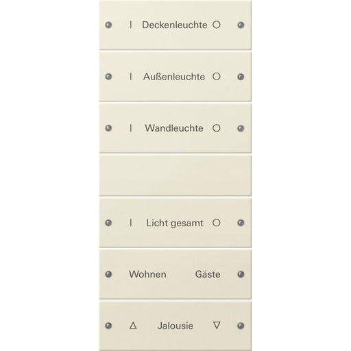 Gira - Bussystem-Tastwippe Wippenset 6-fach 220601 beschr. Sys 55 crws