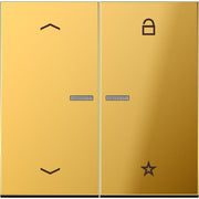 Jung - Bedienelement intelligent eNet Funk-Steuertaste FM GO 1701 P Symbol Pfeil, gold