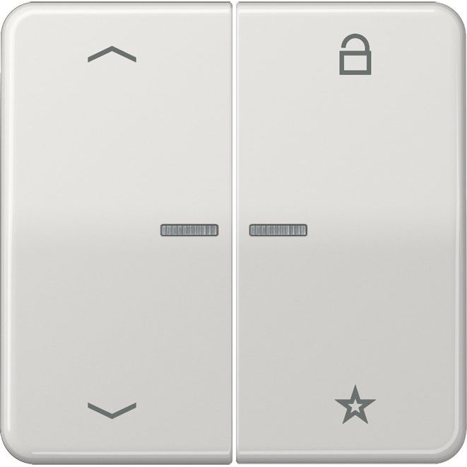 Jung - Bedienelement intelligent eNet Funk-Steuertaste FM CD 1701 P LG 2fach, Sym. Pfeil