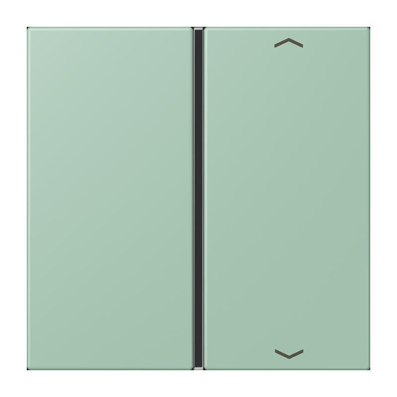 Jung - Abdeckung/Bedienelement für Installationsschalterprogramme Taste 1fach m. Pfeilsymb. LC 401 TSAP 217 vert anglais clair