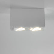 Brumberg Leuchten - Downlight/Strahler/Flutlicht Anbaumodul rechteckig 45123170 2-fach