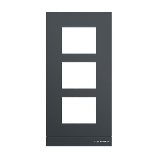Busch-Jaeger - Montageelement für Türstation Frontplatte 41393CF-B-03 Audio 1/3