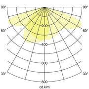 Brumberg Leuchten - Downlight/Strahler/Flutlicht LED-Fluter 60808644 4000K