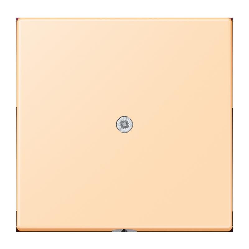 Jung - Einsatz/Abdeckung für Kommunikationstechnik Leitungsauslass m. Zugent. LC 990 A 223 ocre