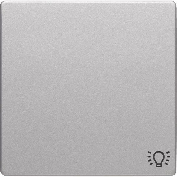 Berker - Abdeckung/Bedienelement für Installationsschalterprogramme Wippe alu/lack 16206044 Symbol Licht