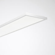 Trilux - Decken-/Wandleuchte LED-Anbauleuchte ArimoFit G2 #8168162 HCL, DALI, weiß