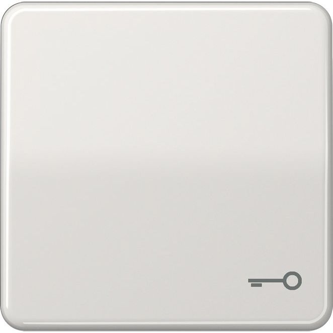 Jung - Abdeckung/Bedienelement für Installationsschalterprogramme Wippe Symbol TÜR lgr CD 590 T LG für Taster