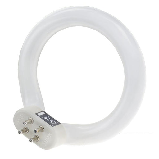 Scharnberger+Hasenbein - Leuchtstofflampe Ringröhre 82695 12mm, Ring D=92mm − 1 Stück by Scharnberger+Hasenbein
