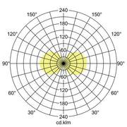 Brumberg Leuchten - Wegeleuchte LED-Pollerleuchte 65201103 m. 2 Steckdosen