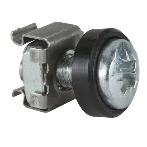 Schneider Electric - Montagezubehör (Schaltschrank) Frontplattenbef.-Schraube NSYGFR95M65 (VE50) M6 − 1 Packung by Schneider 
