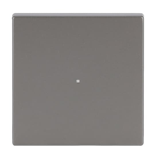 Busch-Jaeger - Bussystem-Tastwippe Wippe eds 6230-10-866 pur Edelstahl