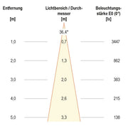 EVN Lichttechnik - Downlight/Strahler/Flutlicht LED-Wallwasher P65242402 si 3000K 24VDC IP65