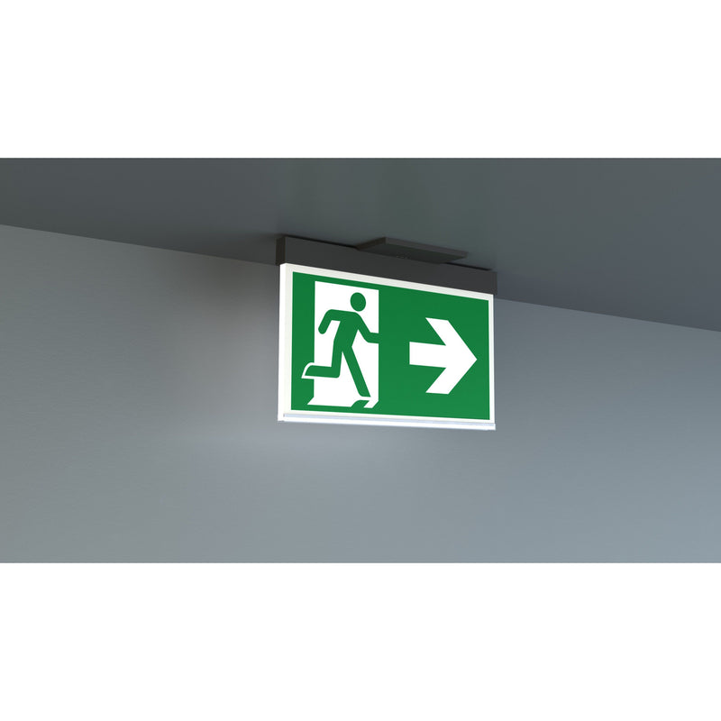 RP-Technik - Sicherheitsleuchte LED-Rettungszeichenleuchte AME401SC-AZ EB 1h, SC, anthr