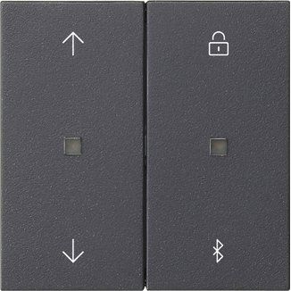 Gira - Bedienelement intelligent Jalousie- + Schaltuhr 536728 Bluetooth Sys.55 Ant
