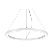 Brumberg Leuchten - Pendelleuchte LED-Pendel-Ringleuchte 13854178 TW DALI D1,5m H50mm