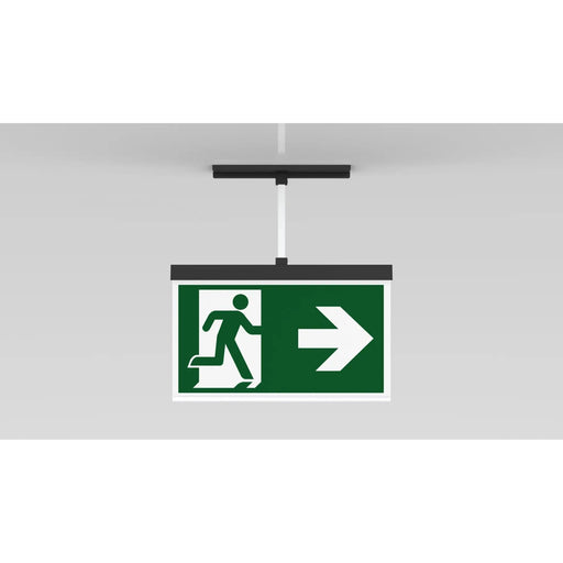 RP-Technik - Sicherheitsleuchte Rettungszeichenleuchte AXCP509CC-AZ anthr