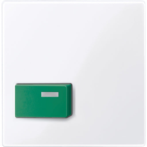 Merten - Zentralelement Klinikinstallation Zentralplatte aws/gl 451525 für Abstelltaster gn
