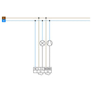 BEG Brück Electronic - Bewegungsmelder/Präsenzmelder komplett Decken-Bewegungsmelder PD3N-2C-DE