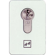 Assa Abloy effeff - Zutrittskontrollsystem Rosette f.Codeschloss 495 49510-3-7291-00 silbermetallic