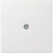 Gira - Einsatz/Abdeckung für Kommunikationstechnik Zentralpl.Schnurabl. rws 027427 System55