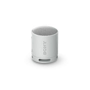 Sony - Lautsprecher Bluetooth-Lautsprecher SRSXB100H.CE7 portable, gr