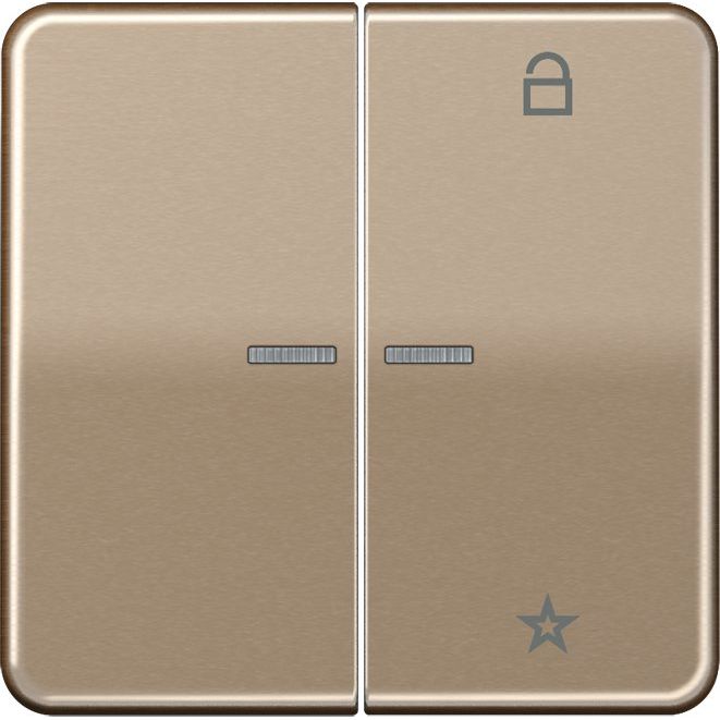 Jung - Bedienelement intelligent eNet Funk-Steuertaste FM CD 1701 GB 2fach,gold-bronze