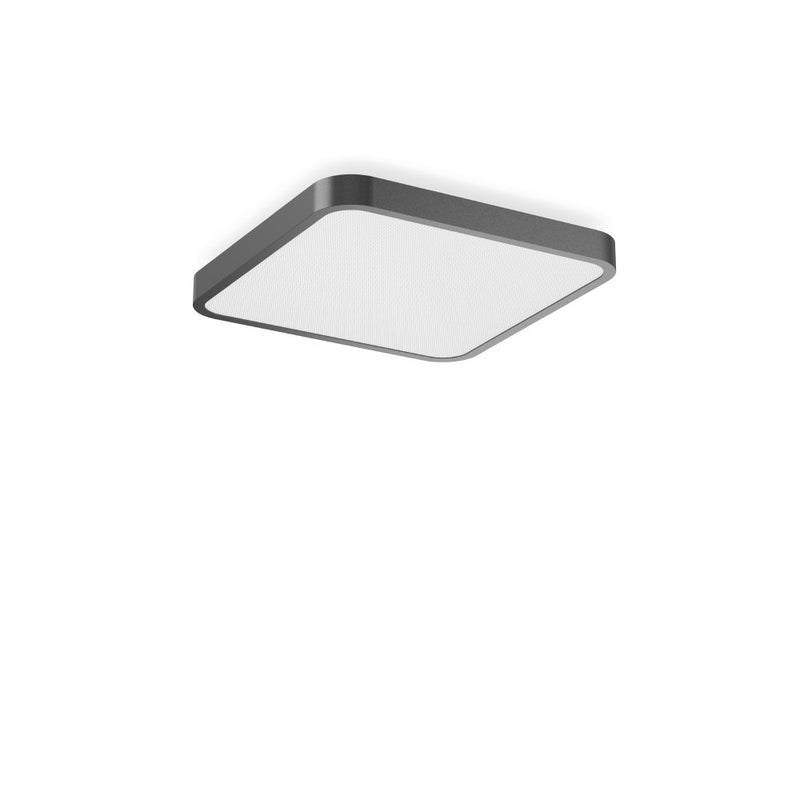 RZB - Decken-/Wandleuchte LED-Wand-u. Deckenleuchte 312436.0031.76 830, DALI, anthr