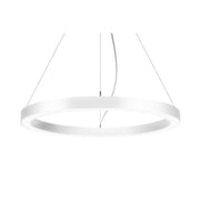 Brumberg Leuchten - Pendelleuchte LED-Pendel-Ringleuchte 13850174 DALI DT6 D60cm H5cm