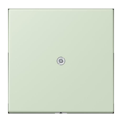 Jung - Einsatz/Abdeckung für Kommunikationstechnik Leitungsauslass m. Zugent. LC 990 A 218 vert anglais pale