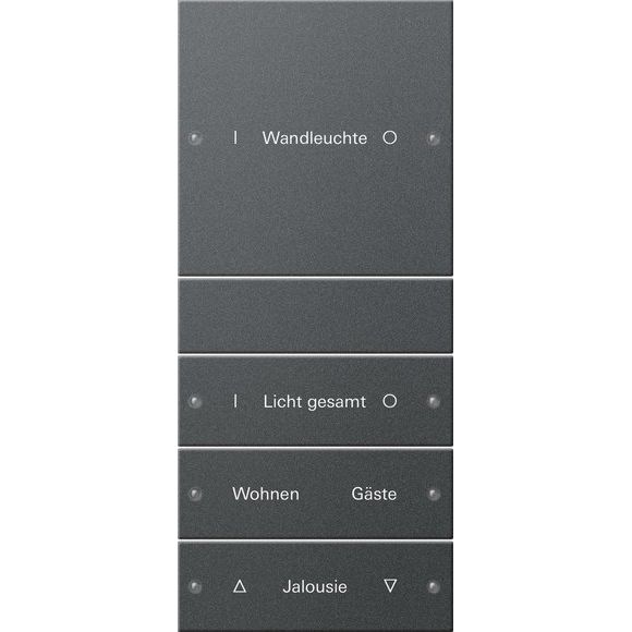 Gira - Bussystem-Tastwippe Wippenset 4-fach 220428 beschr. Sys 55 Anthr