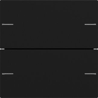 Gira - Bussystem-Tastwippe Wippenset 2-fach 5752005 Tastsensor Schwarz
