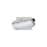 Schuch Licht - Explosionsgeschützte Leuchte Not-/Hinweis LED-Ex-Notleuchte e856F L10/3/2,5 IP66, SK I