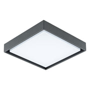 EVN Lichttechnik - Decken-/Wandleuchte LED-Anbauleuchte DAQ54141502 3000K IP54 anth