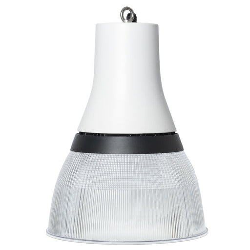 Dotlux - Pendelleuchte LED-Pendelleuchte 6248-099090 MC, DALI