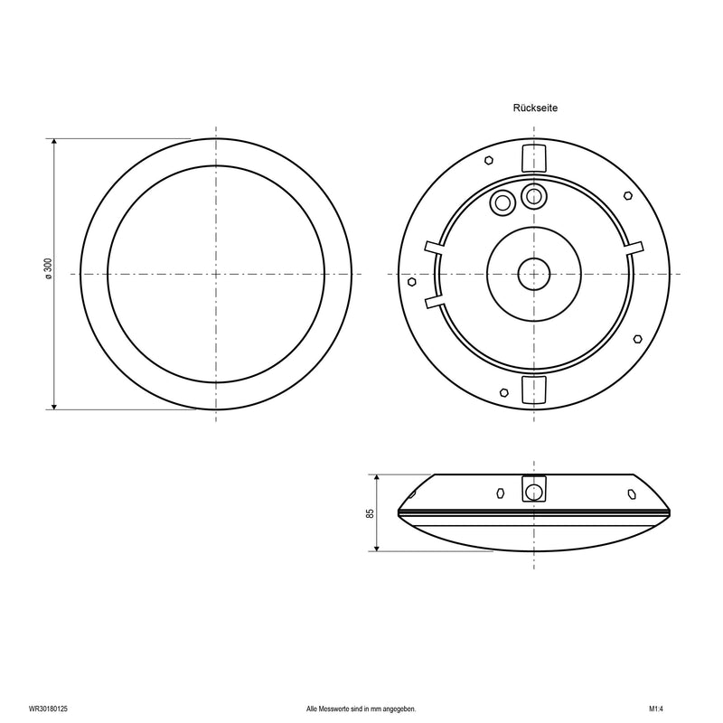 EVN Lichttechnik - Decken-/Wandleuchte LED-Anbauleuchte WR30180125 IP66