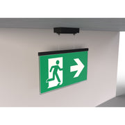 RP-Technik - Sicherheitsleuchte LED-Rettungszeichenleuchte AGDC403WL-AZ EB3h, Wirel., anthr