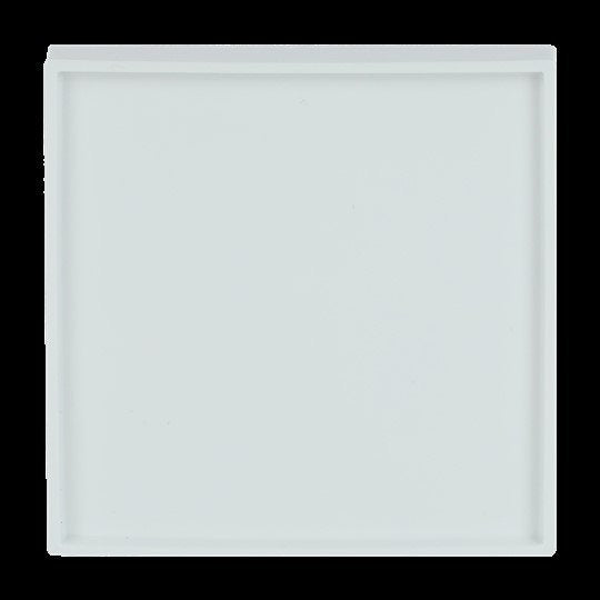 Busch-Jaeger - Zentralelement Klinikinstallation Zentralscheibe studioweiß 1790-590-84 KHS-Systeme  − 1 Stück
